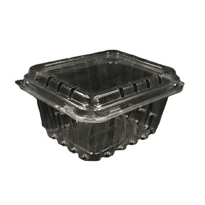 125g 블루베리 대합조개 껍질 플라스틱 포장 박스는 저항과 충돌합니다