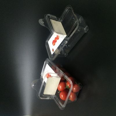 125g 블루베리 대합조개 껍질 플라스틱 포장 박스는 저항과 충돌합니다