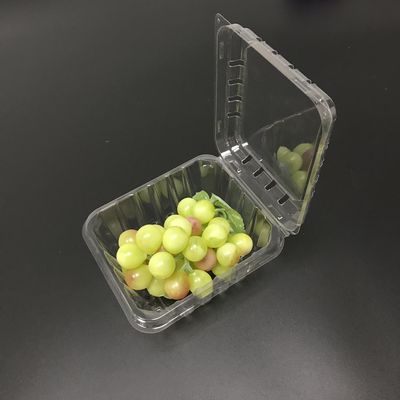 125g 블루베리 대합조개 껍질 플라스틱 포장 박스는 저항과 충돌합니다