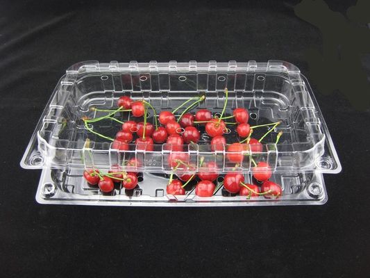 박스 500g를 패키징하는 Eco 우호적 버릴 수 있는 투명 플라스틱 물집 플라스틱